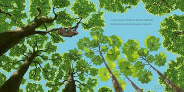 Hello, I'm a Sloth: 1 (Meet the Wild Things) - Hayley Rocco [KSIĄŻKA]