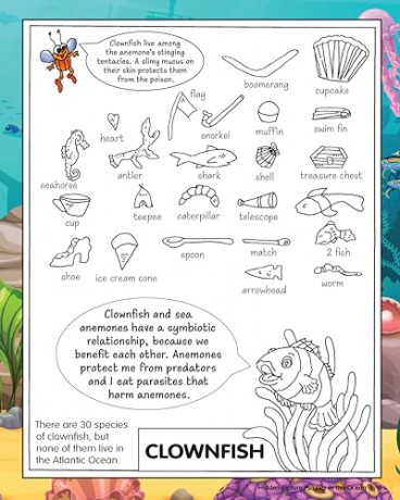 Hidden Picture Puzzles in the Ocean: 50 Seek-and-Find Puzzles to Solve and Color - Liz Ball [KSIĄŻKA]
