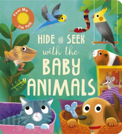 Hide and Seek with the Baby Animals - Littleboy Molly [KSIĄŻKA]