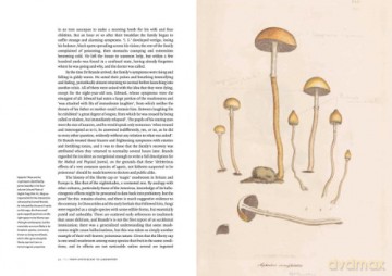 High Society: Mind-Altering Drugs in History and Culture - Mike Jay [KSIĄŻKA]