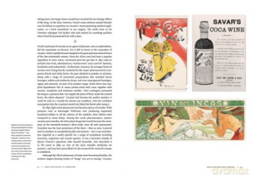 High Society: Mind-Altering Drugs in History and Culture - Mike Jay [KSIĄŻKA]