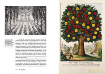 High Society: Mind-Altering Drugs in History and Culture - Mike Jay [KSIĄŻKA]