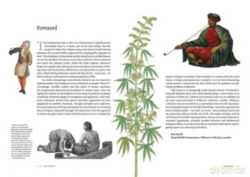 High Society: Mind-Altering Drugs in History and Culture - Mike Jay [KSIĄŻKA]