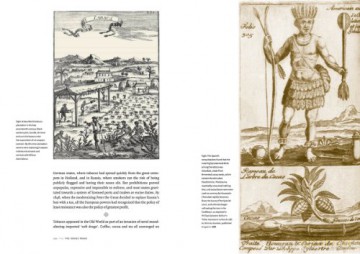 High Society: Mind-Altering Drugs in History and Culture - Mike Jay [KSIĄŻKA]