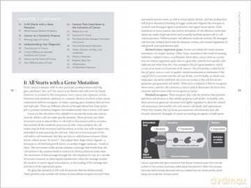 Holistic Cancer Care: An Herbal Approach to Reducing Cancer Risk, Helping Patients Thrive during Treatment, and Minimizing Recurrence - Chanchal Cabrera [KSIĄŻKA]