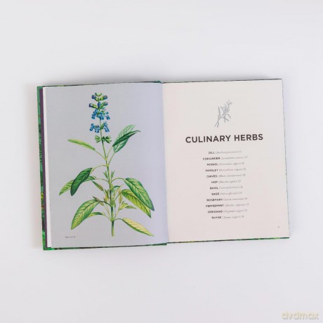 How Herbs Healed the World: And Other Stories of Remarkable Plants - Connor Smith [KSIĄŻKA]