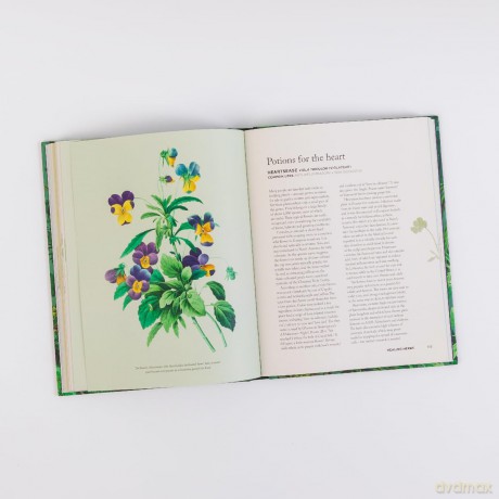 How Herbs Healed the World: And Other Stories of Remarkable Plants - Connor Smith [KSIĄŻKA]