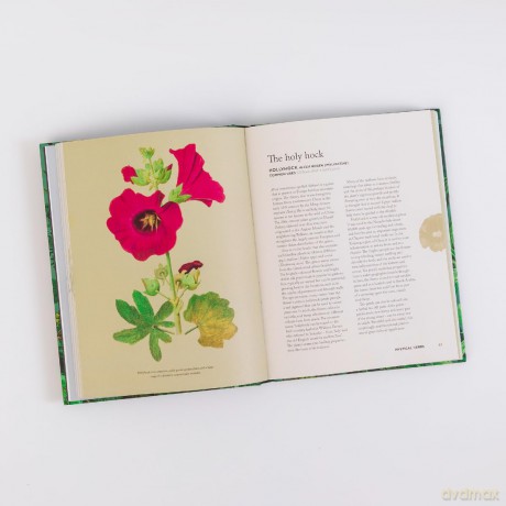 How Herbs Healed the World: And Other Stories of Remarkable Plants - Connor Smith [KSIĄŻKA]