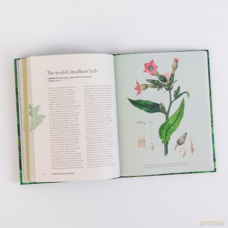 How Herbs Healed the World: And Other Stories of Remarkable Plants - Connor Smith [KSIĄŻKA]
