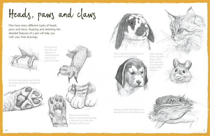 How To Draw Pets - Bergin Mark [KSIĄŻKA]
