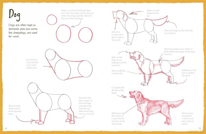 How To Draw Pets - Bergin Mark [KSIĄŻKA]