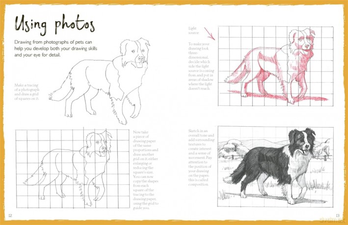 How To Draw Pets - Bergin Mark [KSIĄŻKA]
