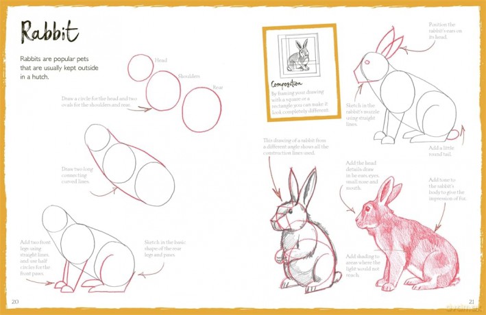 How To Draw Pets - Bergin Mark [KSIĄŻKA]