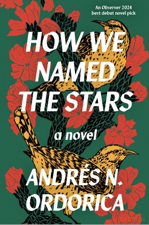 How We Named the Stars: One of the Observer's 2024 Top Ten Debuts - Andres N Ordorica [KSIĄŻKA]