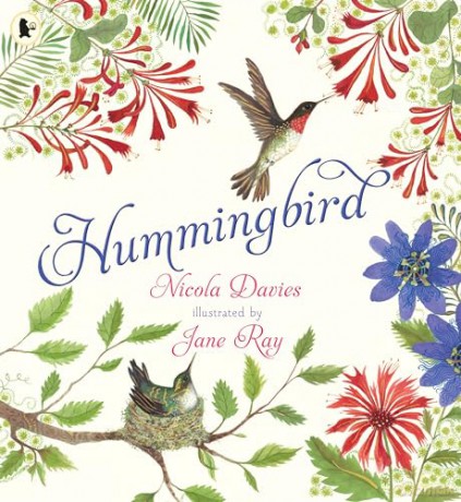 Hummingbird - Nicola Davies [KSIĄŻKA]