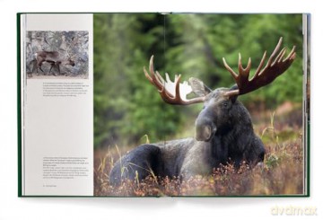 Hunting: The Ultimate Book - Peter Feierabend [KSIĄŻKA]