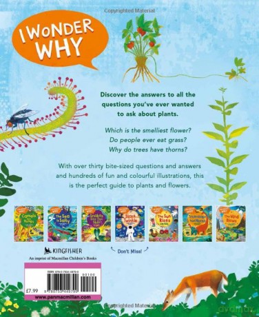 I Wonder Why Leaves Change Colour: and other questions about plants (I Wonder Why, 8) - Andrew Charman [KSIĄŻKA]
