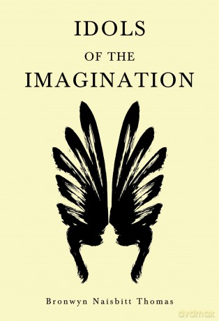Idols of the Imagination - Bronwyn Thomas [KSIĄŻKA]
