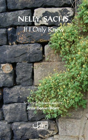 If I Only Knew - Nellie Sachs [KSIĄŻKA]