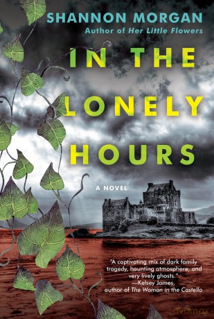 In the Lonely Hours - Shannon Morgan [KSIĄŻKA]