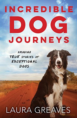 Incredible Dog Journeys: Amazing true stories of exceptional dogs - Laura Greaves [KSIĄŻKA]