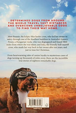 Incredible Dog Journeys: Amazing true stories of exceptional dogs - Laura Greaves [KSIĄŻKA]