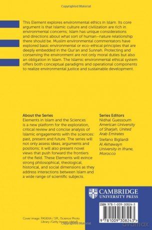 Islam and Environmental Ethics (Elements in Islam and Science) - Gada Muhammad Yasee [KSIĄŻKA]