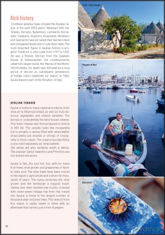 Italia con gusto e amore: Road Trip to the Roots of Italian cuisine [KSIĄŻKA]