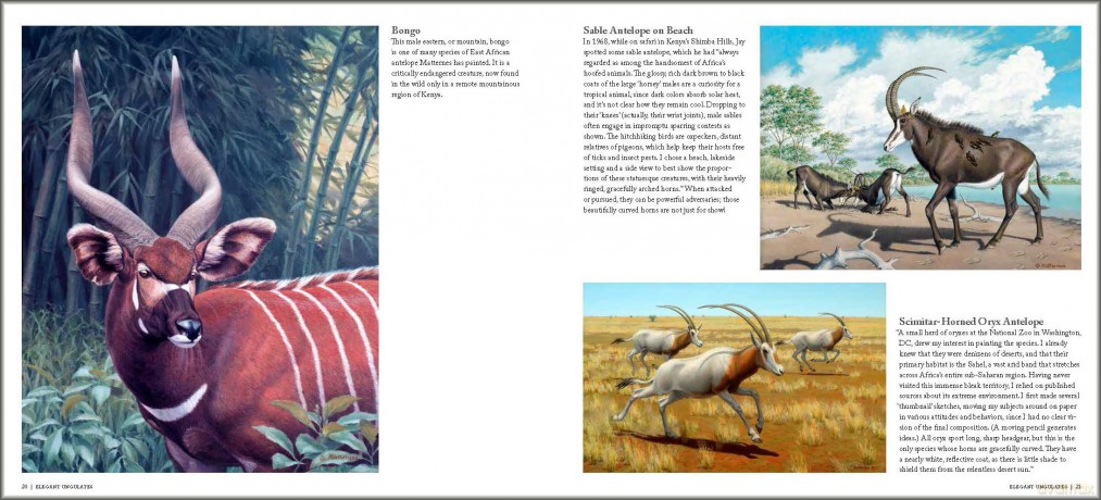 Jay Matternes: Paleoartist and Wildlife Painter - Richard Milner [KSIĄŻKA]