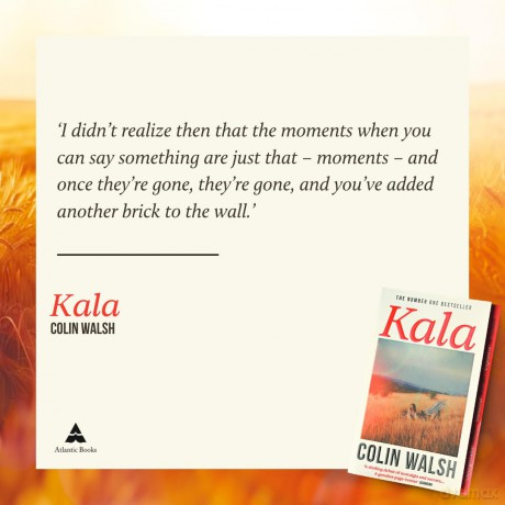 Kala: 'A spectacular read for Donna Tartt and Tana French fans' - Colin Walsh [KSIĄŻKA]