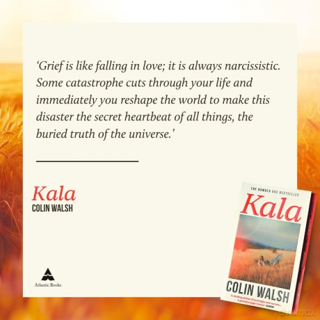 Kala: 'A spectacular read for Donna Tartt and Tana French fans' - Colin Walsh [KSIĄŻKA]