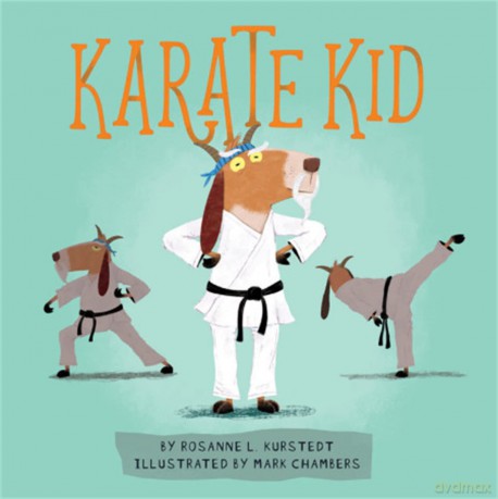 Karate Kid - Rosanne Kurstedt [KSIĄŻKA]