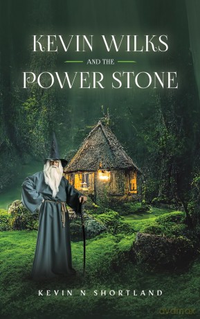 Kevin Wilks and the Power Stone - Kevin N Shortland [KSIĄŻKA]