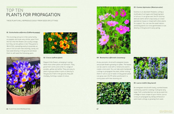 Kew Answers for Everyday Gardeners: 100 Questions Answered - Kew Royal Botanic Ga [KSIĄŻKA]