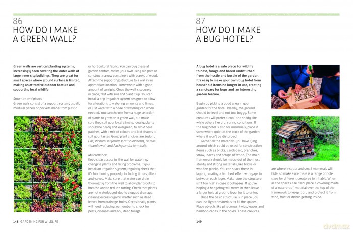 Kew Answers for Everyday Gardeners: 100 Questions Answered - Kew Royal Botanic Ga [KSIĄŻKA]