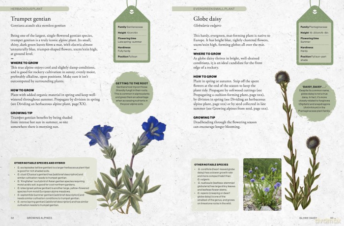 Kew Gardener's Guide to Growing Alpines (Kew Experts) - Royal Botanic Garden [KSIĄŻKA]