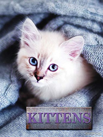 Kittens (Pet Library) - Marcus Schneck [KSIĄŻKA]
