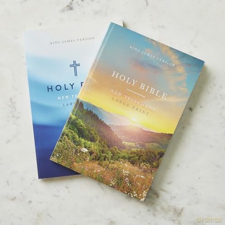 KJV Large Print Outreach New Testament Bible, Cross Softcover, Comfort Print: King James Version Outreach New Testament, Comfort Print [KSIĄŻKA]