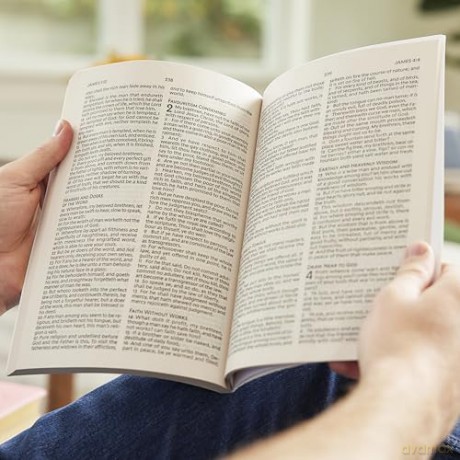 KJV Large Print Outreach New Testament Bible, Scenic Softcover, Comfort Print: King James Version Outreach New Testament, Comfort Print [KSIĄŻKA]