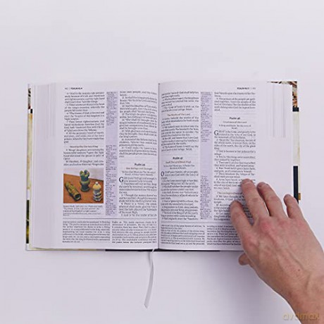 KJV, The King James Study Bible, Leathersoft, Brown, Red Letter, Full-Color Edition: Holy Bible, King James Version [KSIĄŻKA]