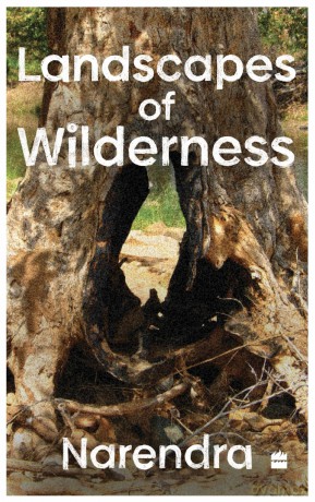 Landscapes Of Wilderness: Meditations on the World that We Live In - Narendra [KSIĄŻKA]