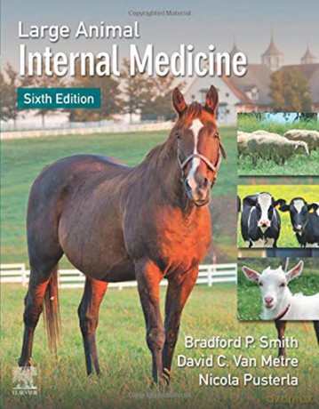 Large Animal Internal Medicine - Bradford P. Smith [KSIĄŻKA]