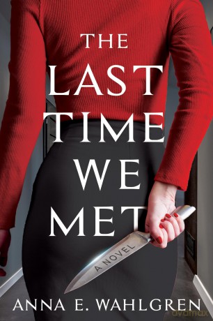 Last Time We Met, The: A Novel - Anna E. Wahlgren [KSIĄŻKA]