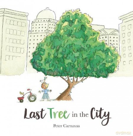 Last Tree in the City - Peter Carnavas [KSIĄŻKA]