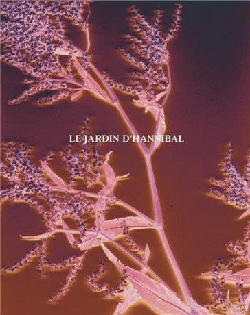 Le Jardin d'Hannibal - M. Lanier [KSIĄŻKA]