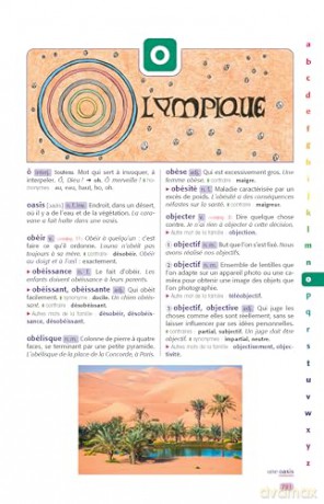 Le Robert Junior Illustré et son dictionnaire en ligne + clé: CE-CM-6e [KSIĄŻKA]