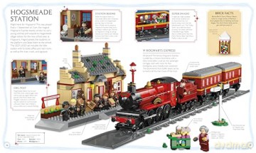 LEGO Harry Potter Visual Dictionary: With Exclusive Minifigure - Dk [KSIĄŻKA]
