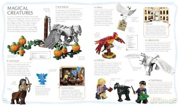 LEGO Harry Potter Visual Dictionary: With Exclusive Minifigure - Dk [KSIĄŻKA]