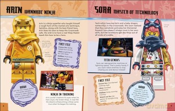 LEGO Ninjago Dragons Rising Character Guide: With LEGO Sora Minifigure (DK Bilingual Visual Dictionary) - Shari Last [KSIĄŻKA]