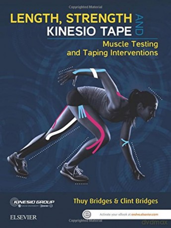 Length, Strength and Kinesio Tape: Muscle Testing and Taping Interventions - Thuy Bridges [KSIĄŻKA]